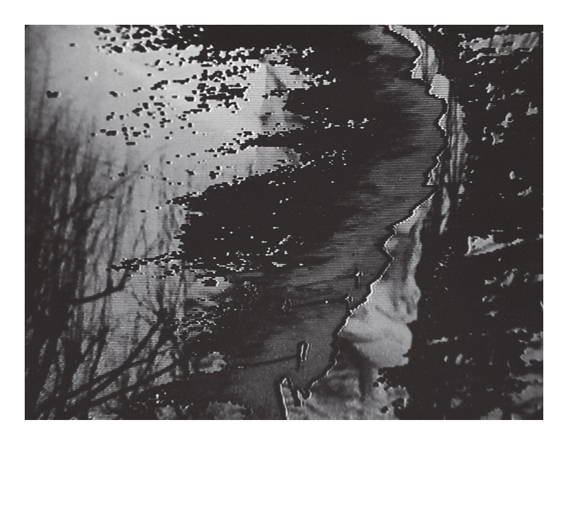 Laima Lisauskienė tweet media