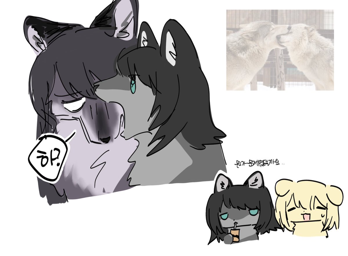 rlorvu's tweet image. 