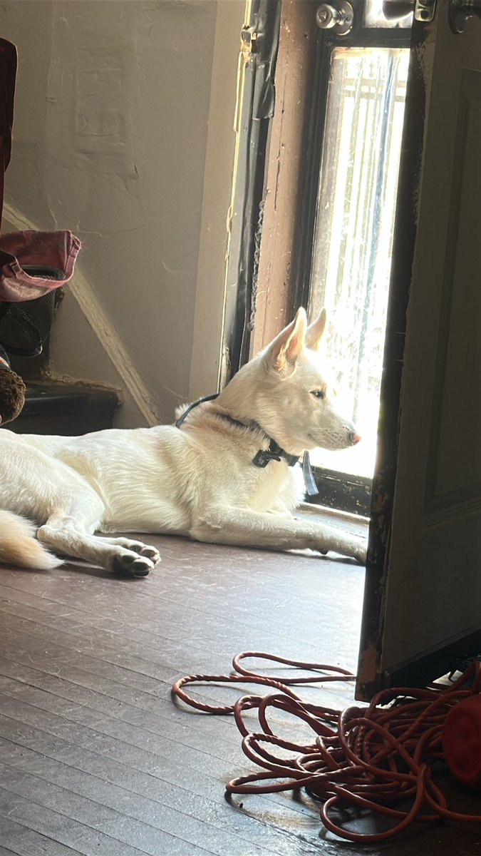 One thing he gonna do is sit in front of an open door.