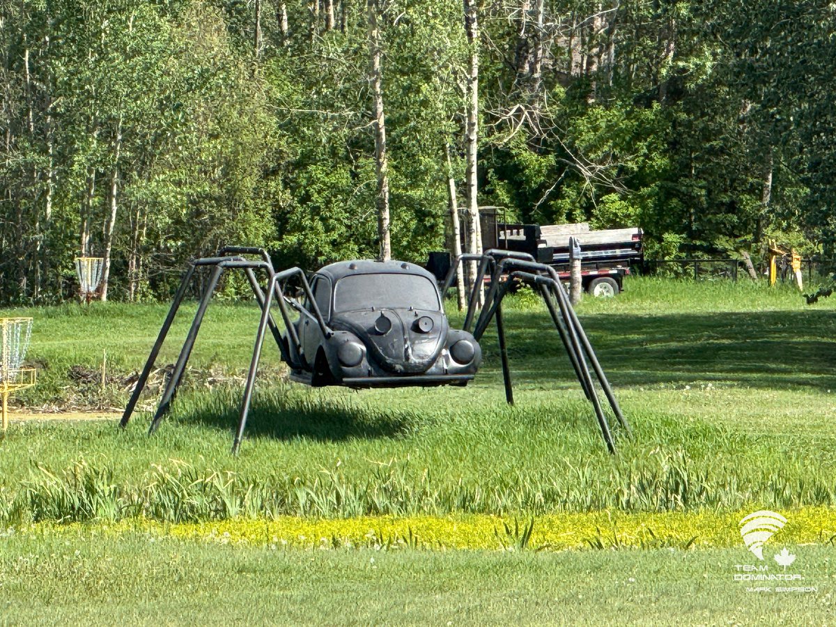 Now that’s a bug <a href="/teamdomcanada/">teamdomcanada</a>  #WeirdStuffChasing