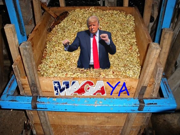 HéctorPérezIglesias (@hectorcavallin) on Twitter photo 