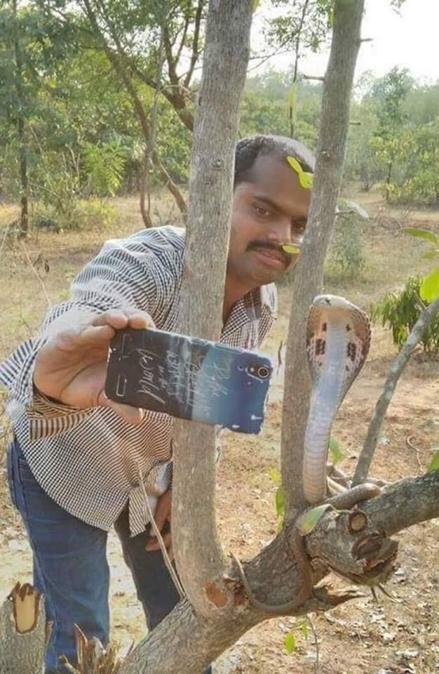 When there's a snake about to pounce 😂😂😂 #whentonottakeaselfie