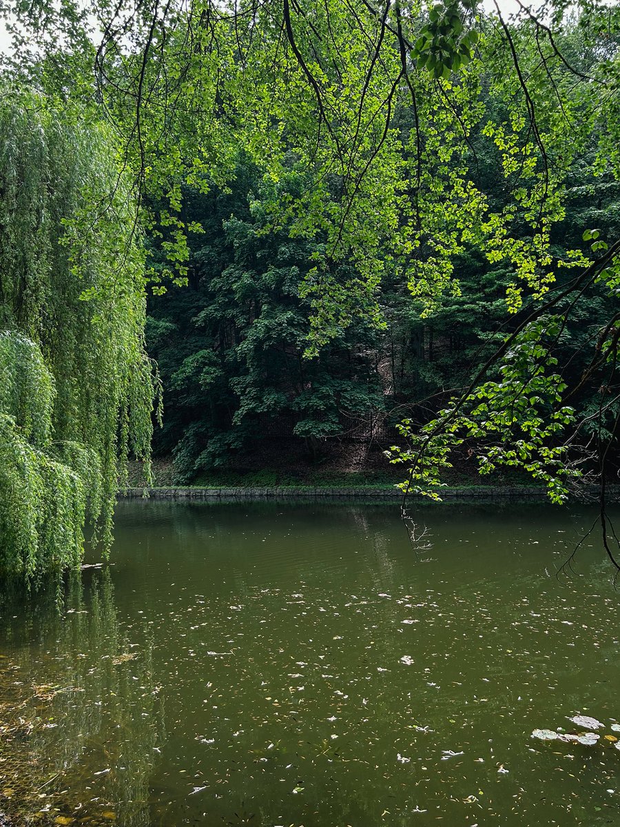 Коли стомлений після важкої праці
Відпочинеш ти біля тихого ставка,
Де в кожній травинці, в кожній росі —
Збережено світла маленька іскра… 

Володимир Симоненко
