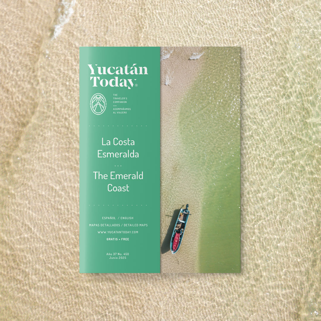 Yucatán Today tweet media