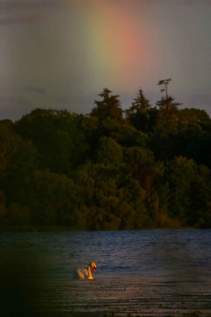 Thomas Casey tweet media