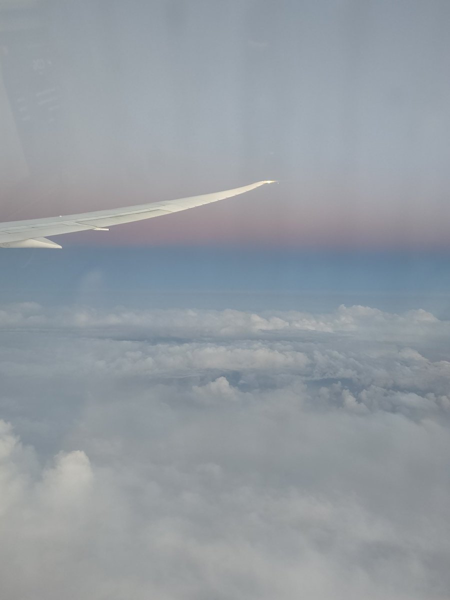CSMJoAnnNaumann's tweet image. Travel, no sleep, lots of walking around Paris. Great food and wine. This is what happens when I have one day of leave.