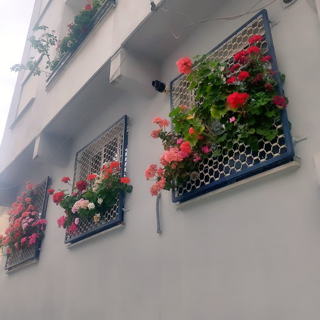 Kızlaar bakınnn 
içimden bir his bu evde yaşayan insanın asla kötü biri olmayacağını söylüyor.