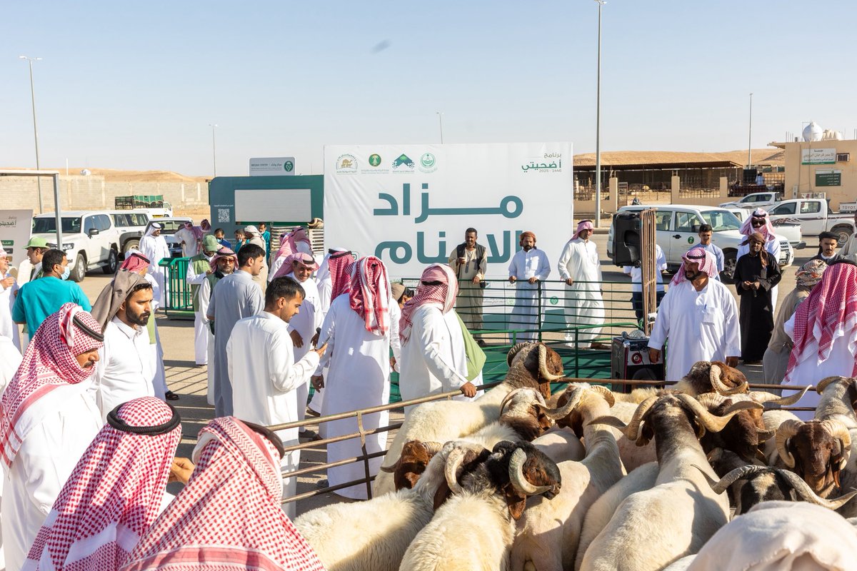 bbb8577's tweet photo. انطلاق مهرجان
#أضحيتي46 بمنطقة #الحدود_الشمالية
وسط أجواء مليئة
بالفعاليات الإرشادية
والتوعوية والثقافية
إضافة إلى منافسات في الأوزان والصفات الوراثية المميزة ضمن جهود
#وزارة_البيئة في رفع الوعي وتعزيز جودة الإنتاج المحلي . https://t.co/Cby30phdYj