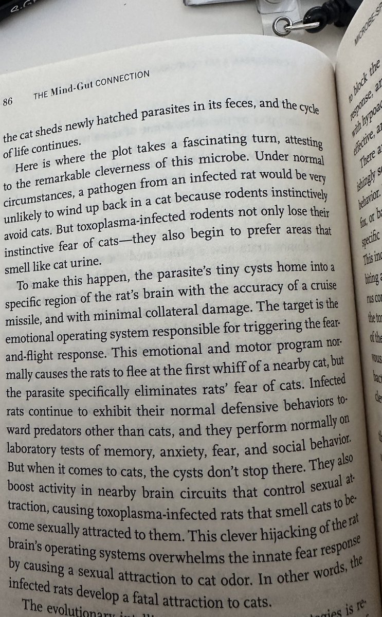 colonelwarner's tweet image. Cats using Toxoplasma gondii as a bioweapon for mind control is no longer a conspiracy theory.  Toxoplasmosis alters the area of the brain specific to fear and sexual attraction.