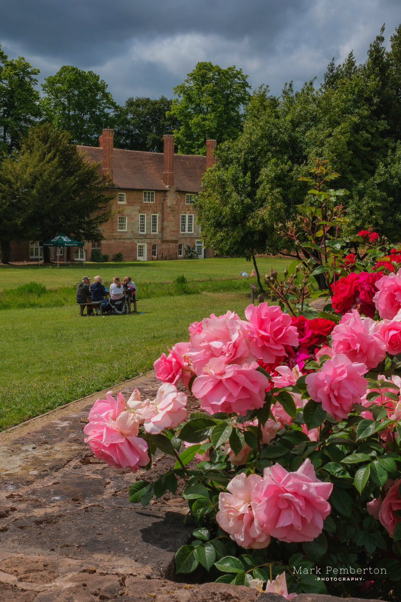 Mark Pemberton (@markpem28587357) on Twitter photo Fantastic to see Charterhouse blooming now itโs in the hands of <a href="/nationaltrust/">National Trust</a> โฆ<a href="/VisitCoventry/">Visit Coventry</a> <a href="/visit_bham/">Visit Birmingham & West Midlands</a> <a href="/BBCCWR/">BBC Coventry & Warwickshire</a> <a href="/Covcultureshow/">Coventry Culture Show</a> <a href="/VisitEngland/">VisitEngland</a> <a href="/nationaltrust/">National Trust</a> Fantastic to see Charterhouse blooming now itโs in the hands of <a href="/nationaltrust/">National Trust</a> โฆ<a href="/VisitCoventry/">Visit Coventry</a> <a href="/visit_bham/">Visit Birmingham & West Midlands</a> <a href="/BBCCWR/">BBC Coventry & Warwickshire</a> <a href="/Covcultureshow/">Coventry Culture Show</a> <a href="/VisitEngland/">VisitEngland</a> <a href="/nationaltrust/">National Trust</a>