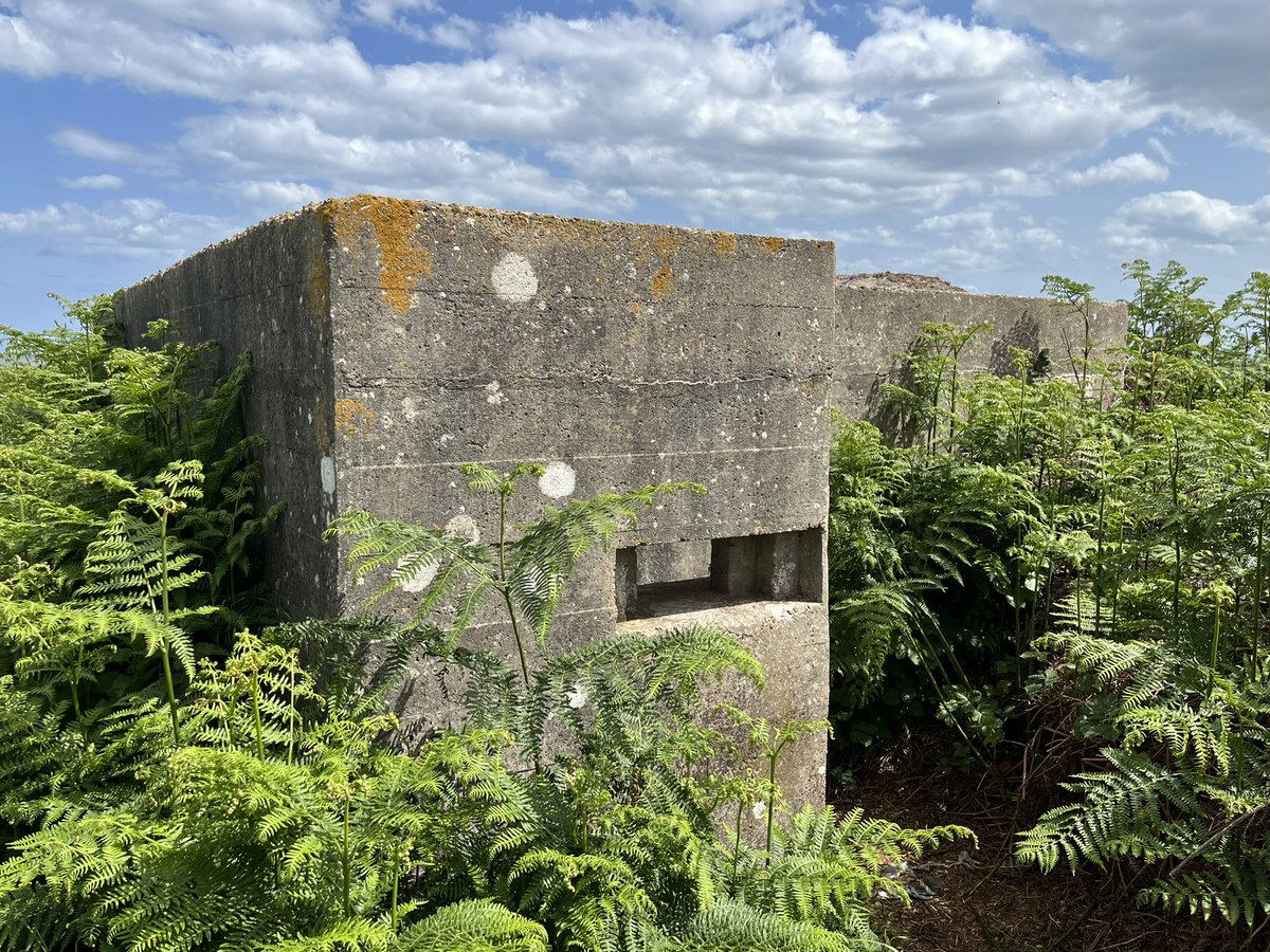 Gort_Line's tweet image. Suffolk square pillbox, Benacre. The hedgerow behind was entrenched in WW1. Hedges provided a good obstacle and good cover. The 1904 Army manoeuvres showed that such ‘hedgerow defence’ in enclosed countryside could be as difficult for defenders as attackers.