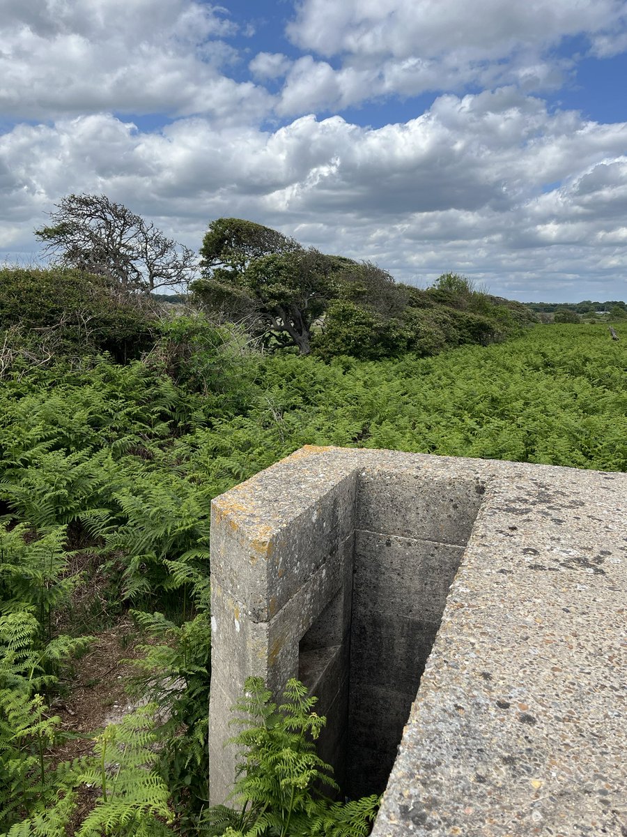Gort_Line's tweet image. Suffolk square pillbox, Benacre. The hedgerow behind was entrenched in WW1. Hedges provided a good obstacle and good cover. The 1904 Army manoeuvres showed that such ‘hedgerow defence’ in enclosed countryside could be as difficult for defenders as attackers.