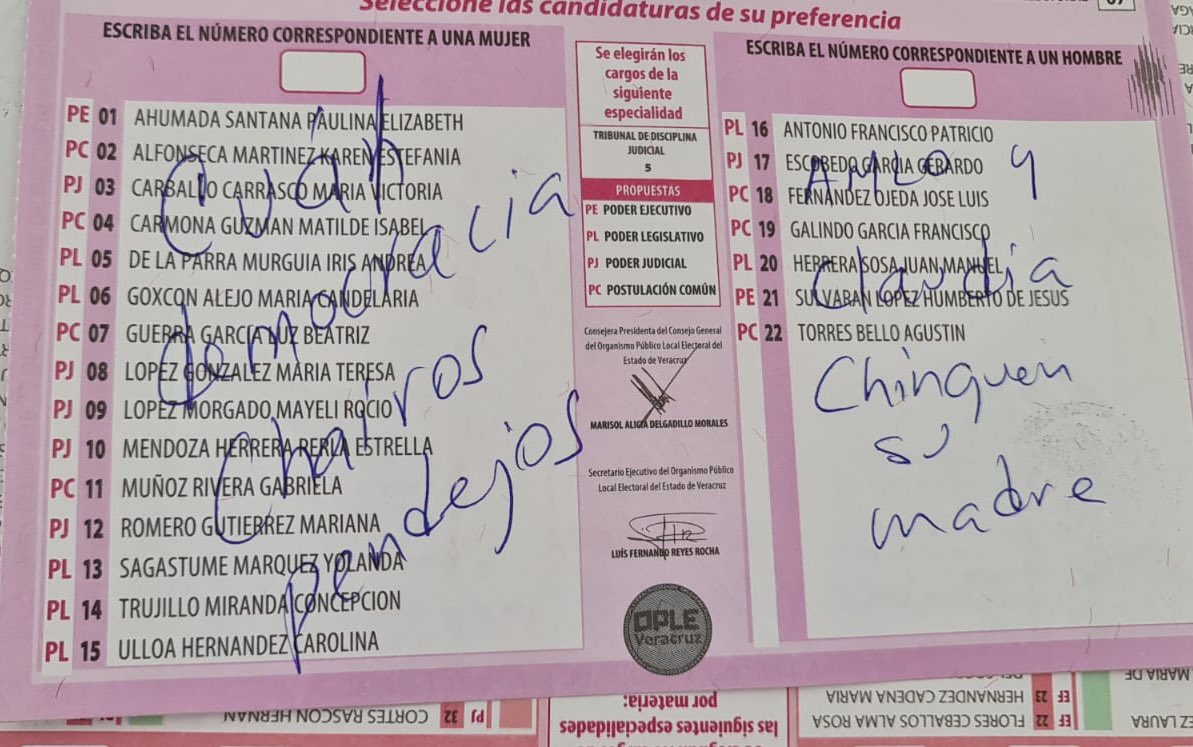 eddyveramx's tweet image. #VotaPoderJudicial2025mx  acá les dejo una idea de cómo votar también