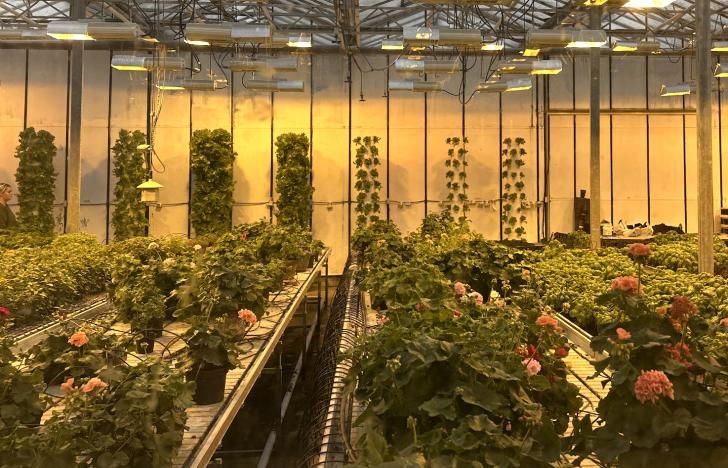 Free Webinar, Indoor Agriculture Resiliency, June 12, 1pm PT: buff.ly/KlyWGNb @PGE4me #indooragriculture #greenhouses #agriculture #farming #farms #indoorfarms #food #growers #energyefficiency #electrification #poweroutages #resilience #extremeweather #free #greenbuilding