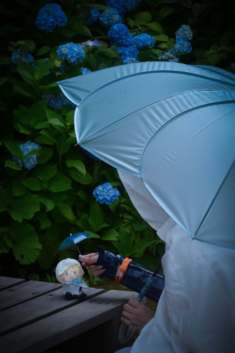 去年の紫陽花と求肥、そして大きい山姥切国広

model：<a href="/40cos/">40</a>