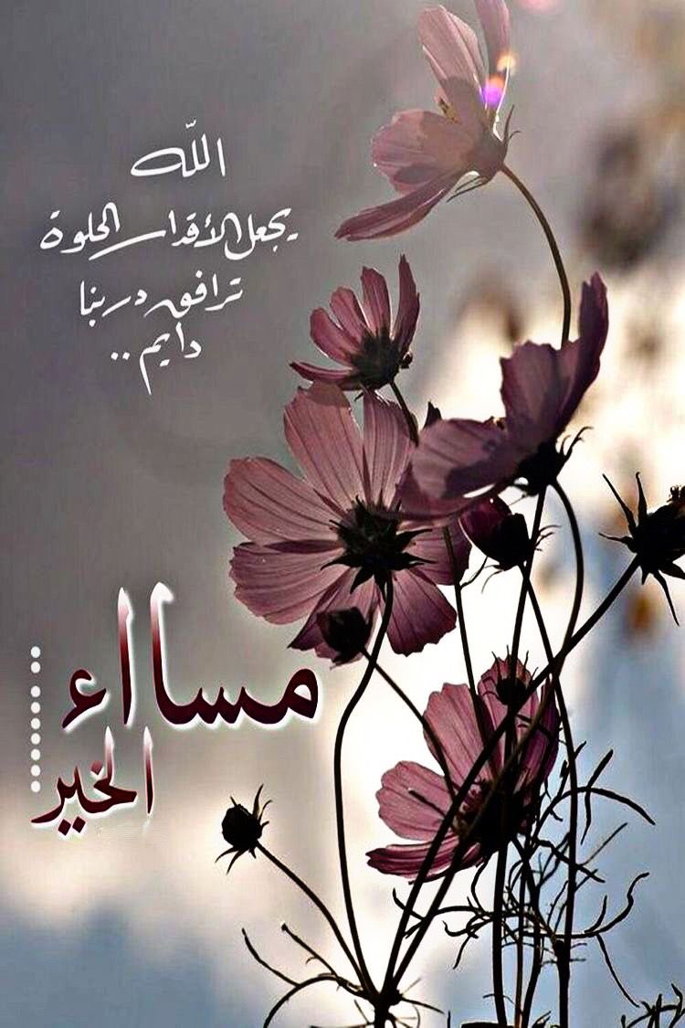 🇮🇶❤️🇮🇶ENG.MOHAMMED 1 🇮🇶❤️🇮🇶 (@m62687551) on Twitter photo <a href="/Hunterr54346051/">Jamal Nasir</a> مساء الخير للذين ينشرون الجمال ،
في هذا العالم 🌷
للذين يصنعون أكاليل الورد حول قلوبنا 🌸
مساء الخير لمن يطيب بهم المساء 🌺
مساء الرضا لمن هم كنقاء المساء بأخلاقهم🌷
يسعد مساكم 🌼🌼 <a href="/Hunterr54346051/">Jamal Nasir</a> مساء الخير للذين ينشرون الجمال ،
في هذا العالم 🌷
للذين يصنعون أكاليل الورد حول قلوبنا 🌸
مساء الخير لمن يطيب بهم المساء 🌺
مساء الرضا لمن هم كنقاء المساء بأخلاقهم🌷
يسعد مساكم 🌼🌼