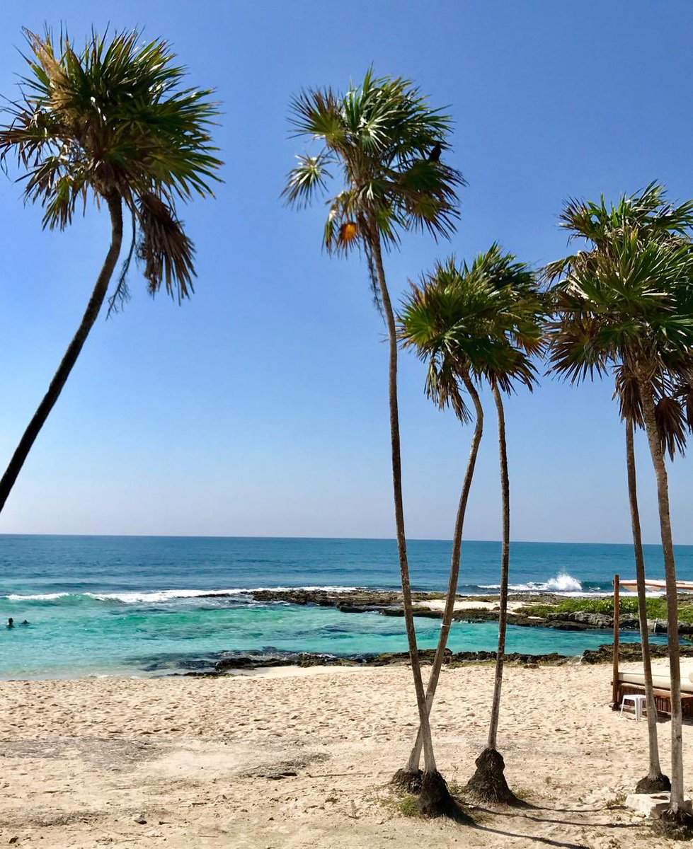 #DomingEspetacular disfruta tu día, el hoy admira la belleza que te rodea, sé positivo si tienes vida lo tienes todo! Que tengas el mejor de los días 🙏😎👍