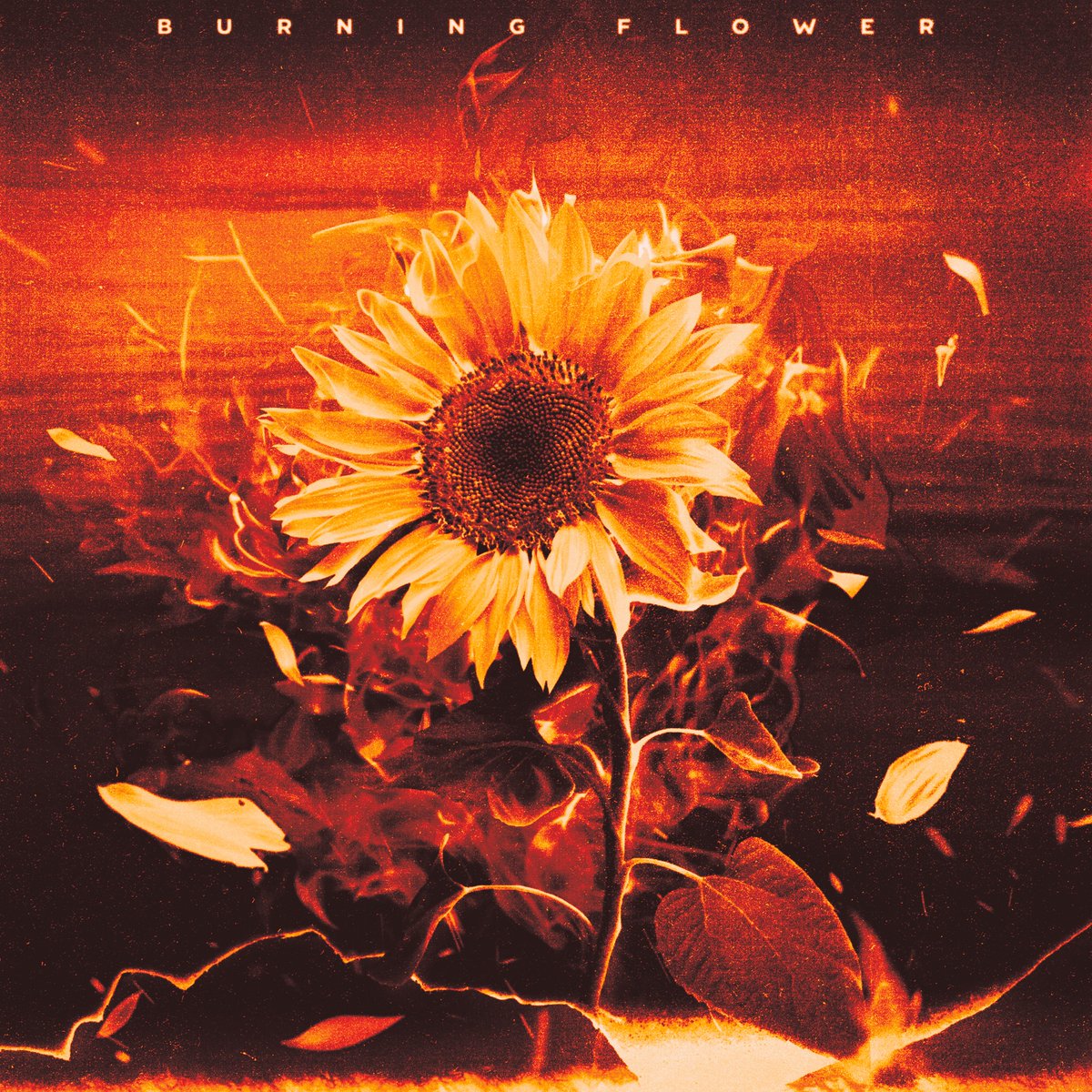 2025.06.09 Mon.
Digital Release

'Burning Flower'

6月2日(月)0:00-
iTunesプリオーダー受付スタート

- iTunesプリオーダー キャンペーン詳細❤️‍🔥 - 
hana.b-rave.tokyo/news/768/ 

#HANA
#BurningFlower