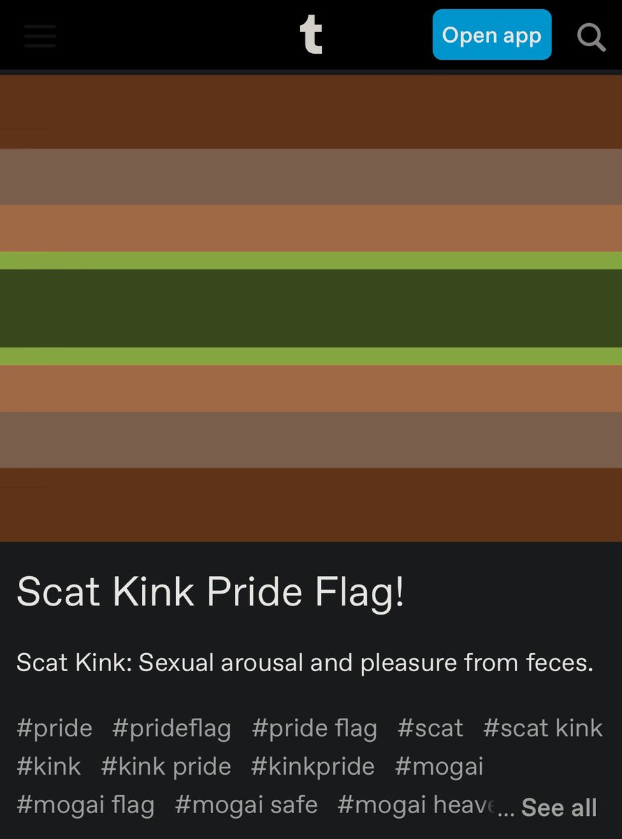 Started looking into some pride flags, y’all fr just be making shit up at this point.