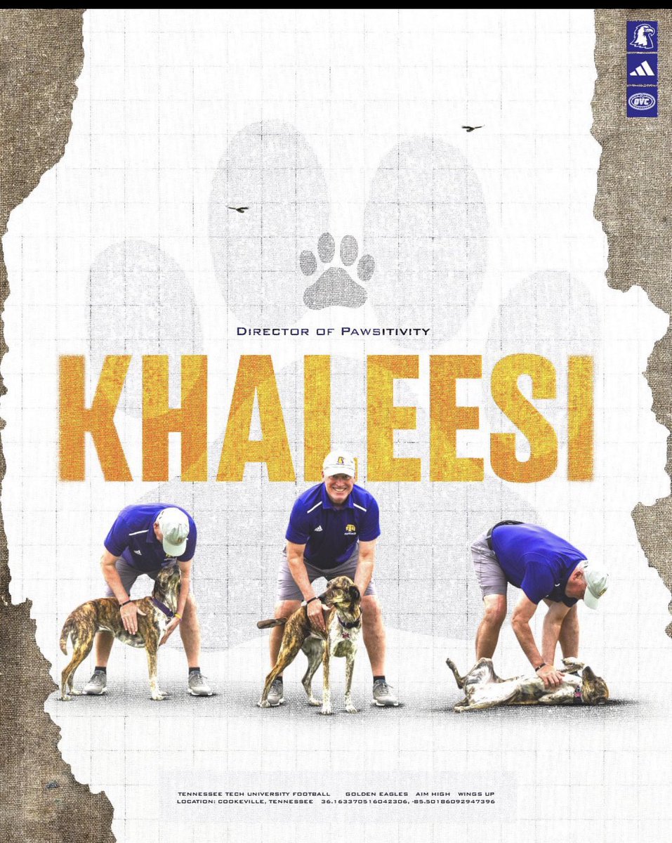 Bobby Wilder (@coachwilder353) on Twitter photo High School camp day <a href="/TNTechFootball/">TTU Football</a>
The Director of Pawsativity 🐾 up with the sun ready to add value, and tail wags 🐕
#WingsUp #AimHigh High School camp day <a href="/TNTechFootball/">TTU Football</a>
The Director of Pawsativity 🐾 up with the sun ready to add value, and tail wags 🐕
#WingsUp #AimHigh