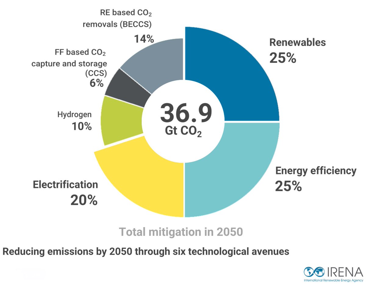 Peter Hoogmoed (@peterhoogmoed) on Twitter photo 