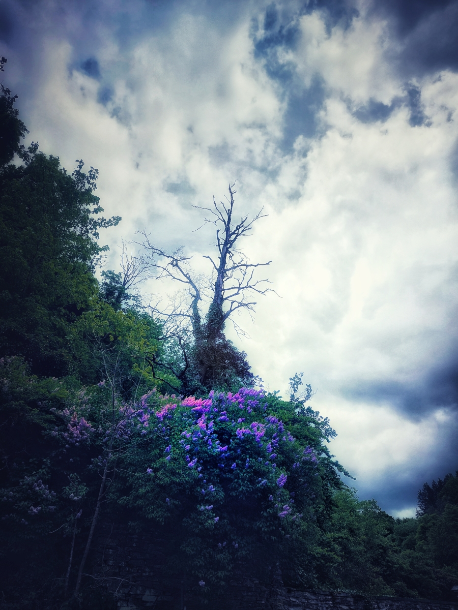 Dirk Schulte
All we have is now
2025