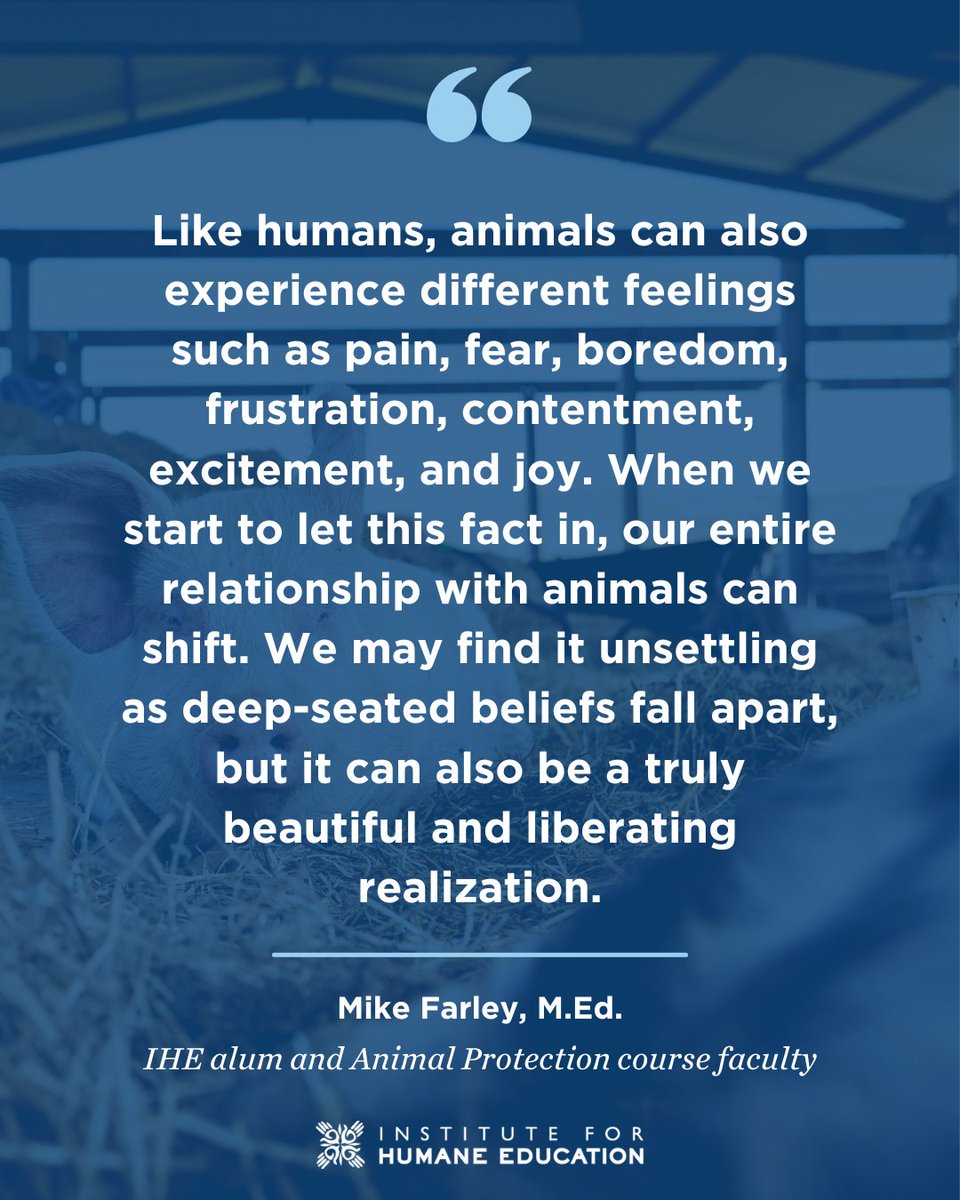 Institute for Humane Education tweet media