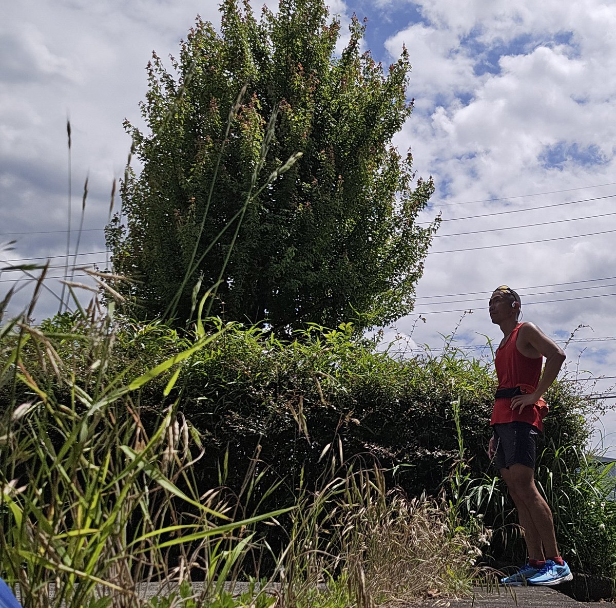 katsuki5025's tweet image. 次年度の火災学会研究発表内容を考えねば🤔
まずは、
TOEICスコアを取って、
博士課程進学に全力投球⚾💨
全ては、
自分の努力しだい💪

【06/01(日)】
①20kmjog

【TOEIC】
①金フレ 400語
②銀フレ 200語
③でる1000 15語
④金の読解 1問

#carosvertix2 
#tabio
#xplosion
#TOEIC
#博士課程の道