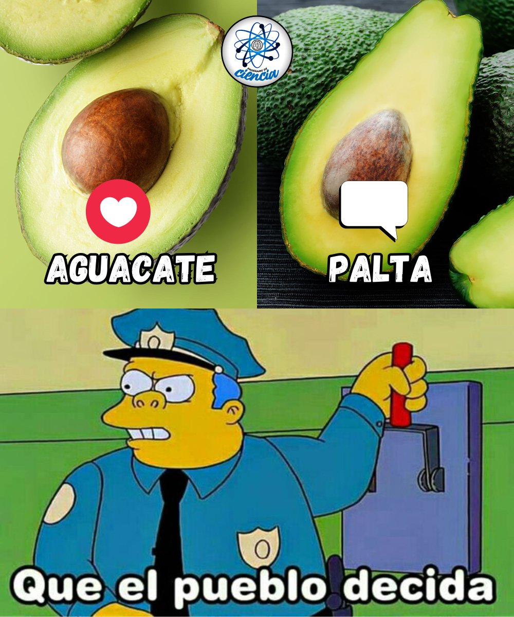 Enséñame de Ciencia tweet media