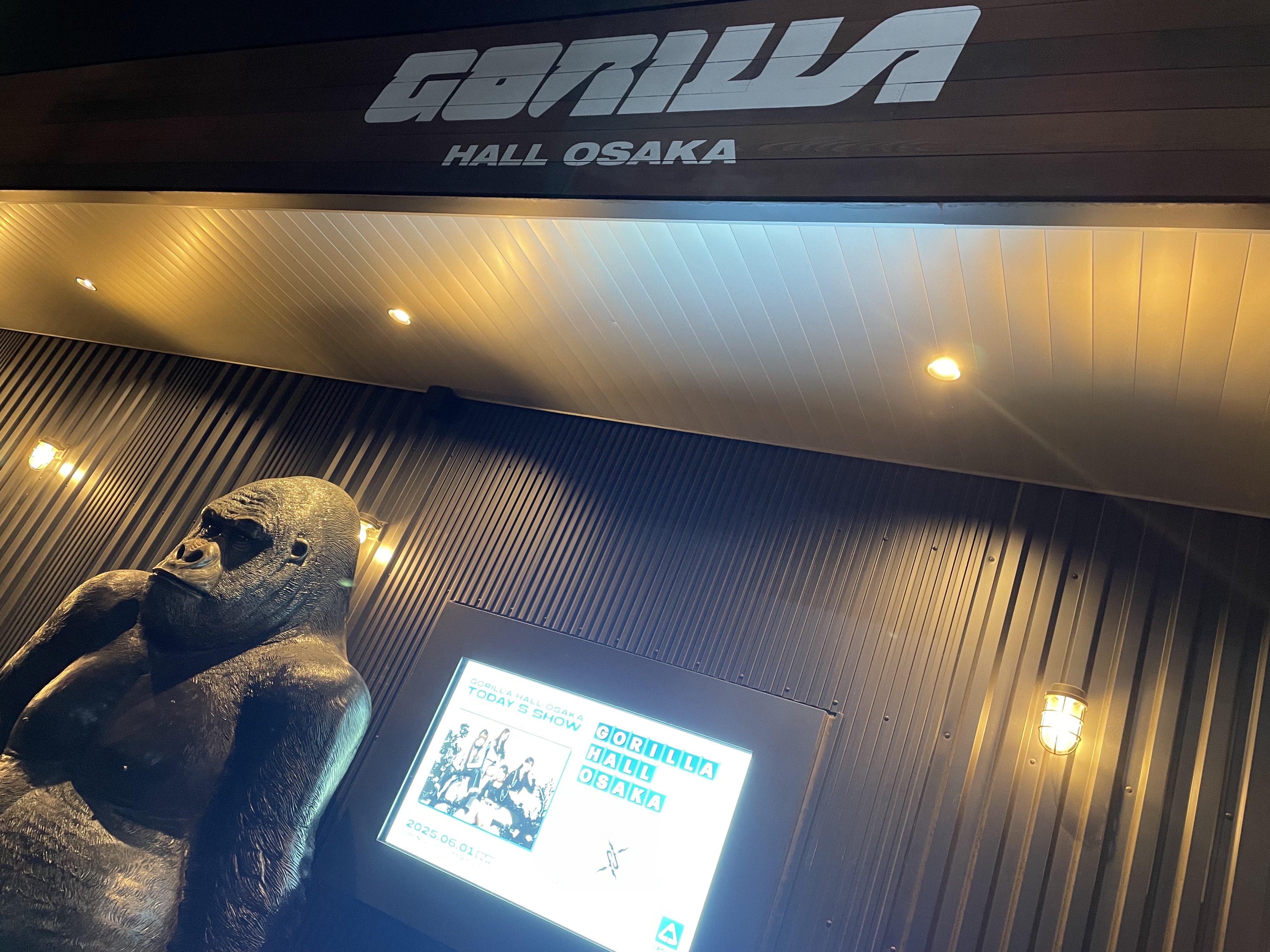 わるきー (@WARUKII) / X