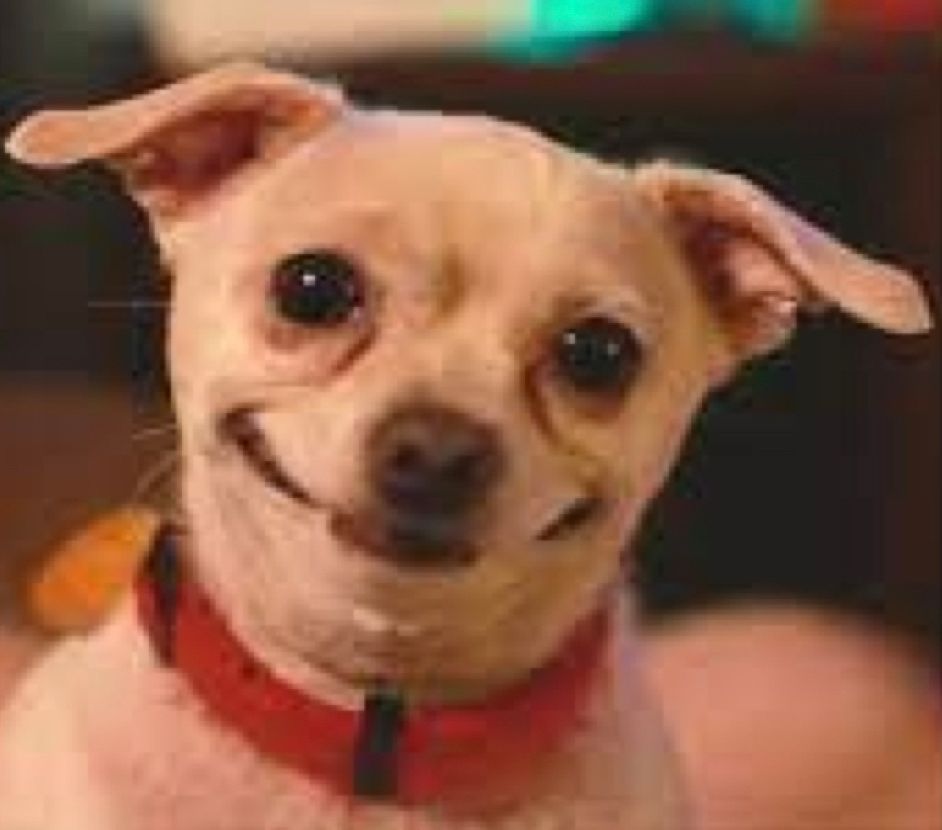 When you say "ohhhh" but still have no idea what's going on