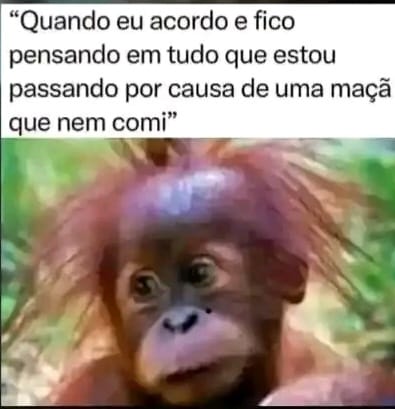 RBarcheti's tweet photo. Ahhhh, quando eu chegar no Paraíso e cruzar com essa tal Eva ela vai ouvir um  " montão " de mim ..... https://t.co/1A9BjEY4Rv
