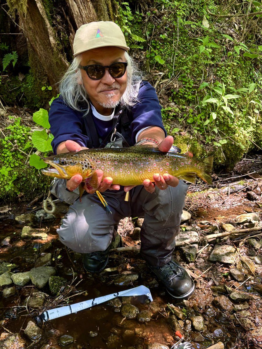 めちゃくちゃカッコ良いブラウン釣れた
シャローのシェードからドッカンと最高の出かたでありました
今日も痺れたわありがとう北海道