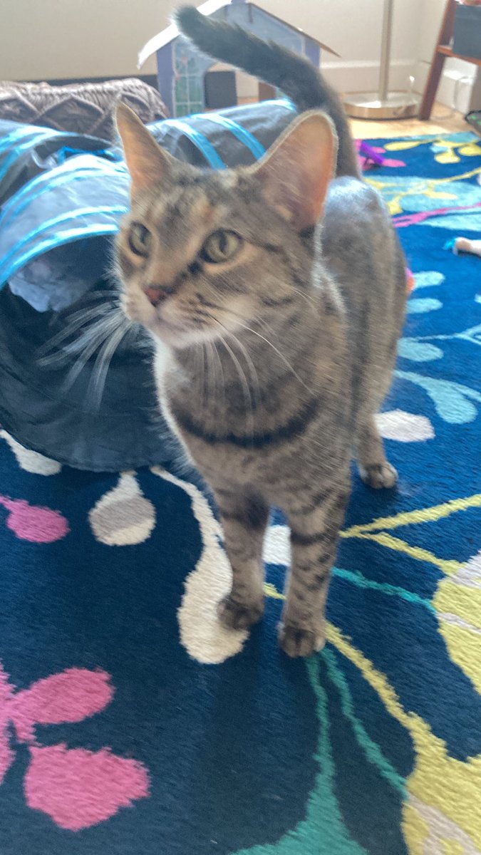 Someone keeps forgetting to post!