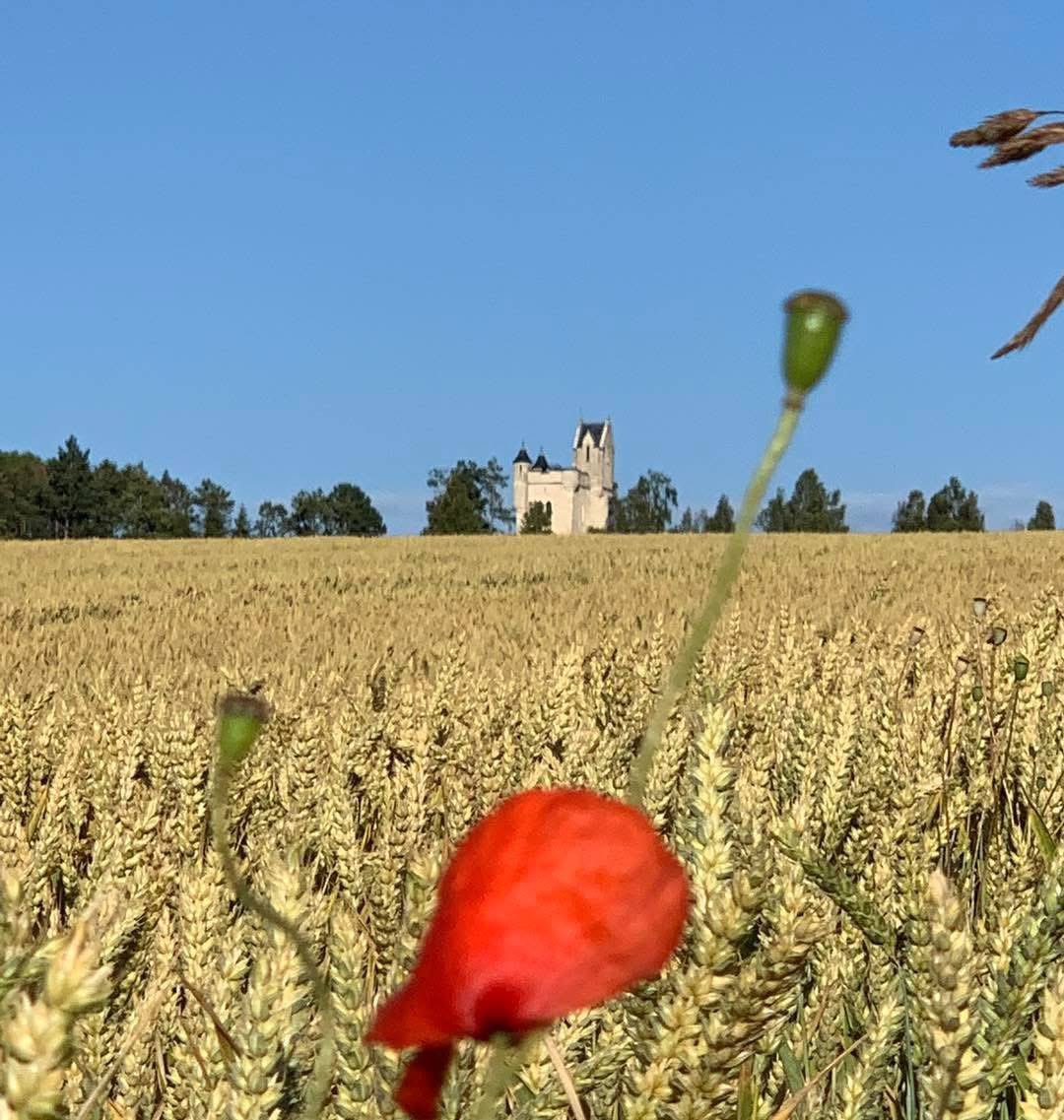 We are pleased to announce that a ‘Service of Remembrance’ to commemorate the 109th anniversary of The Battle of the Somme, shall be held at the Ulster Tower, Thiepval on the 1st July 2025 at 1430hrs.

If you have any questions email Carol at:
sommeassociation@btconnect.com