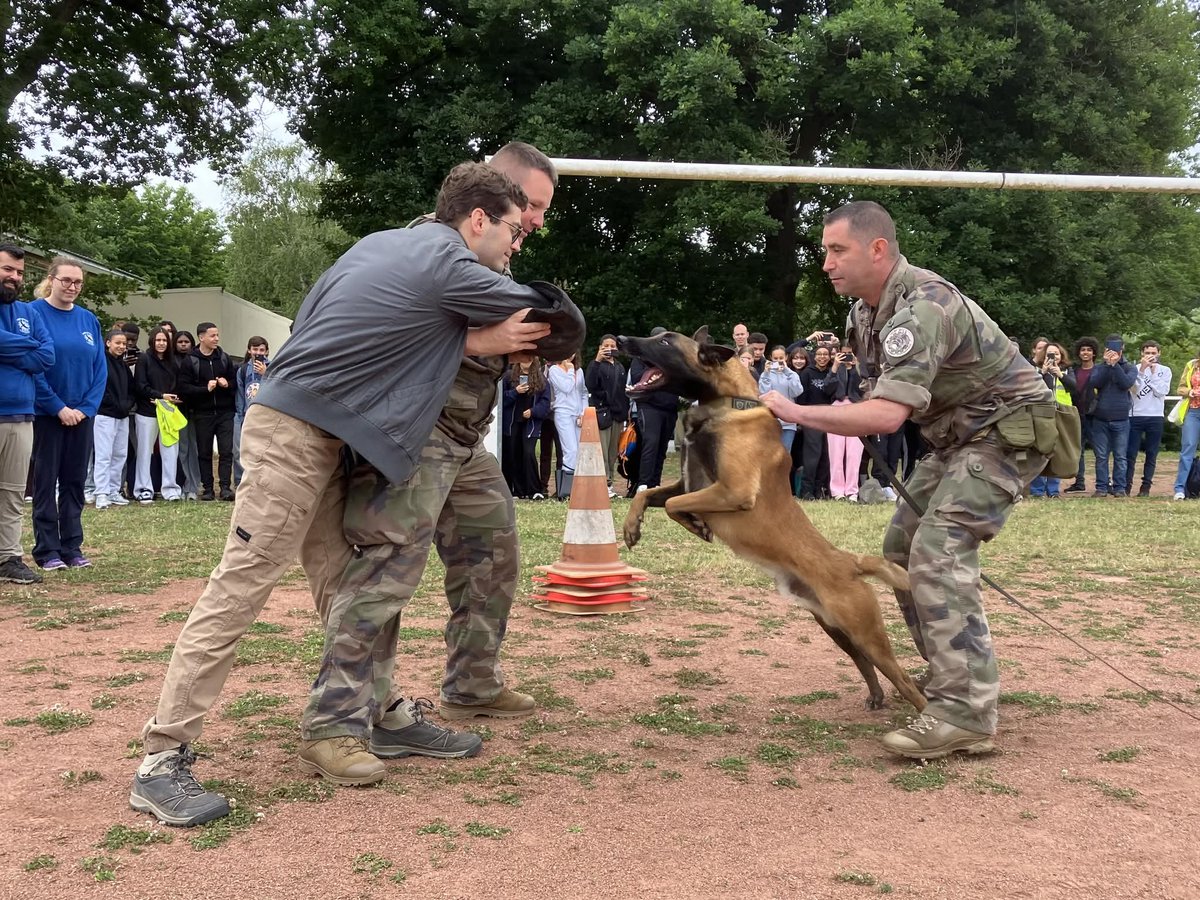 Délégation Militaire Départementale de l’Essonne tweet media