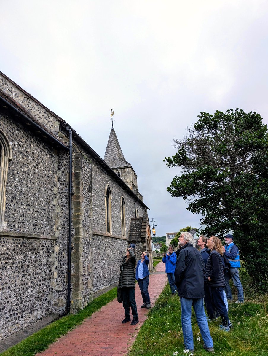 Lewes Swifts (@lewesswifts) on Twitter photo Lewes Swift Walks 2025!
We will be leading our annual #Swift walks around some of the Swift colonies in #Lewes later this month, on Saturday 14th June, Wednesday 18th June, and Saturday 21st June, from 8.00 p.m. to approximately 9.30 p.m.
To book: email lewesswifts@gmail.com Lewes Swift Walks 2025!
We will be leading our annual #Swift walks around some of the Swift colonies in #Lewes later this month, on Saturday 14th June, Wednesday 18th June, and Saturday 21st June, from 8.00 p.m. to approximately 9.30 p.m.
To book: email lewesswifts@gmail.com