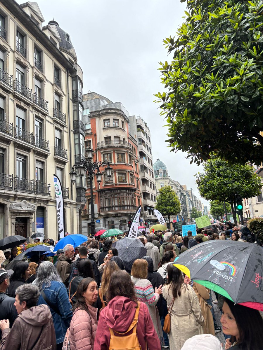 Alejandro Farpón (@alejandrofarpon) on Twitter photo Multitudinaria manifestación en defensa de la escuela pública y de los derechos de sus trabajadores que evidencia que la gestión de <a href="/Educastur/">Consejería de Educación</a>, <a href="/lydiaespina/">Lydia Espina ツ</a> y <a href="/DavidArtimeEdu/">David Artime García</a> (entre otros) es insostenible y ha llevado a la educación asturiana a su peor momento en décadas. Multitudinaria manifestación en defensa de la escuela pública y de los derechos de sus trabajadores que evidencia que la gestión de <a href="/Educastur/">Consejería de Educación</a>, <a href="/lydiaespina/">Lydia Espina ツ</a> y <a href="/DavidArtimeEdu/">David Artime García</a> (entre otros) es insostenible y ha llevado a la educación asturiana a su peor momento en décadas.