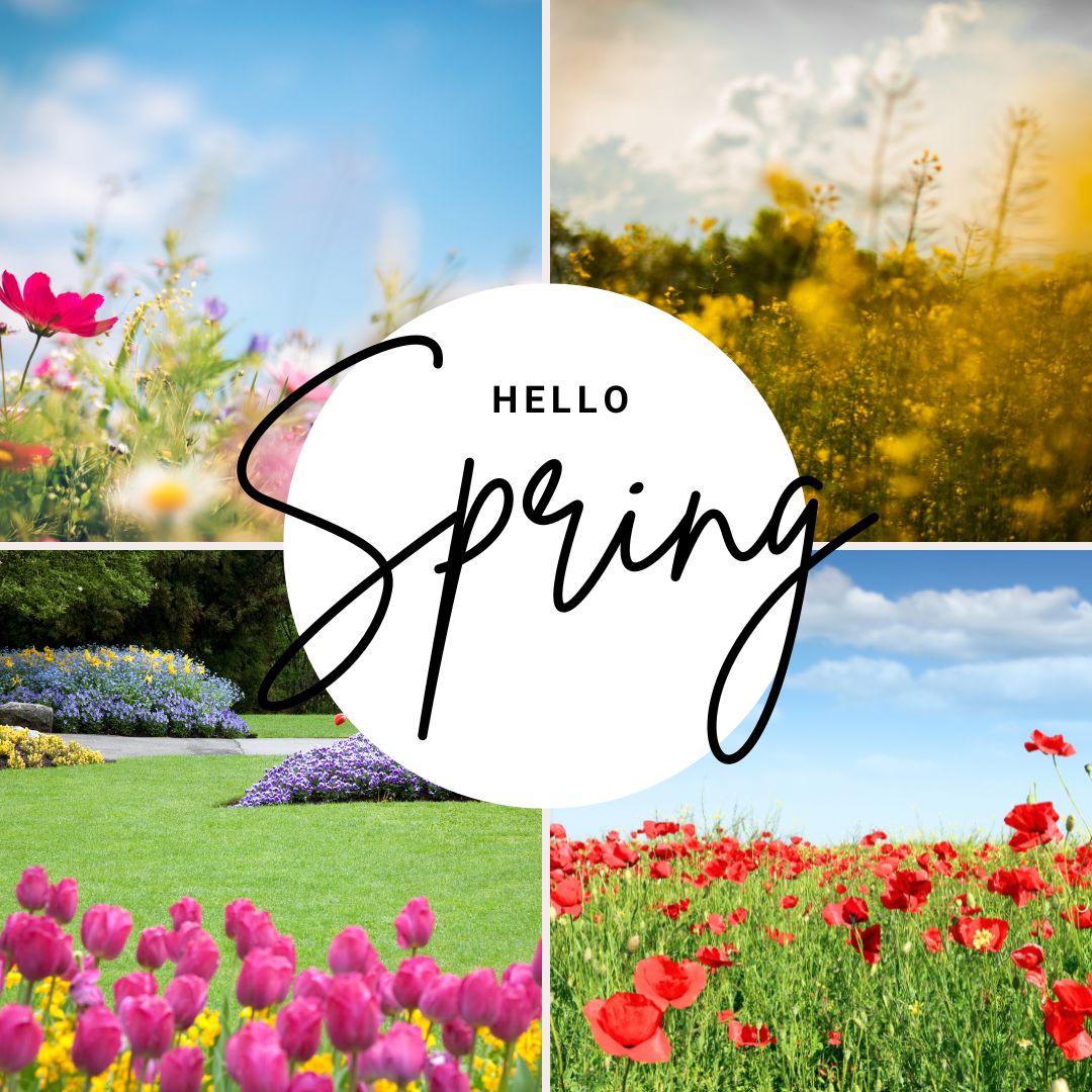 rodewayinnhotel's tweet photo. 🌸 Spring into May at Canyon Lake! Stay at Rodeway Inn and Suites for comfort, great amenities, and easy access to Lake Elsinore’s top attractions. Book your perfect getaway today!
🔗 https://t.co/nOTcTj0vMU

#CanyonLake #RodewayInn #SpringGetaway #LakeElsinore #TravelCalifornia https://t.co/Fmx8xfy4Rs