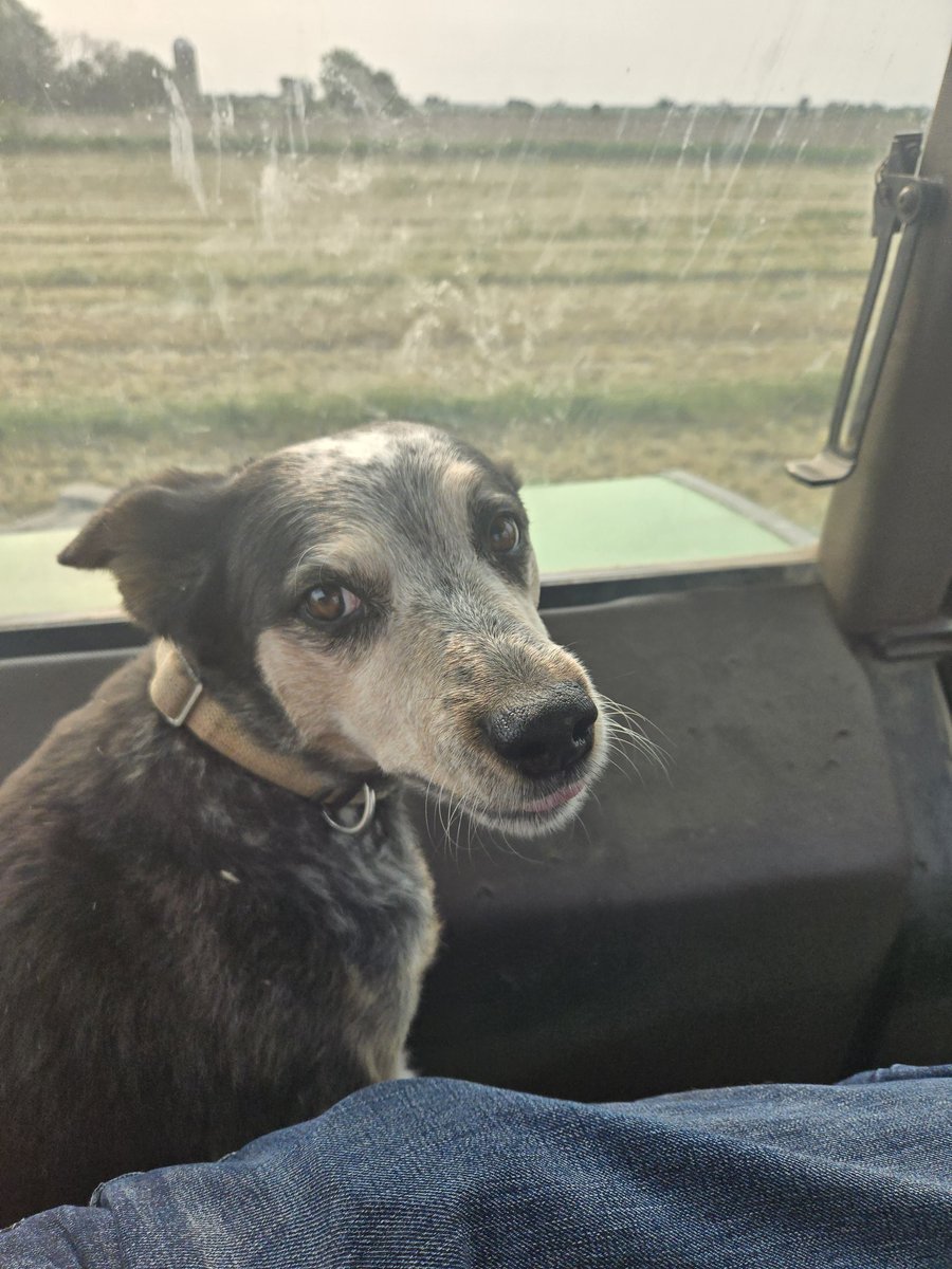 If you not planting Soybeans on June 1st.  You could be doing something wrong.