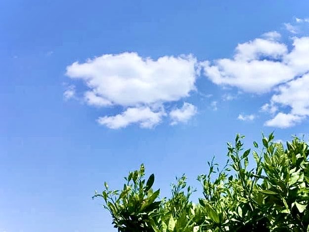 呪詛の刷り込みの仕組みを
理解出来ていない方々は

あまり
今のX 、
深入り読みしない方が
良さそうですよ

あまりにも
引き込む
負のエネルギー連鎖反応が
強すぎます。

#呪詛装置  

#わたし達の意識 
利用されていますよ

「今」の連続が
過去も
今後も
共に
変えるエネルギーの場

深呼吸　😊