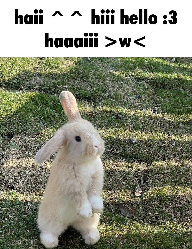 bnu 🐇🍓 (@bunnyluvr__) on Twitter photo 