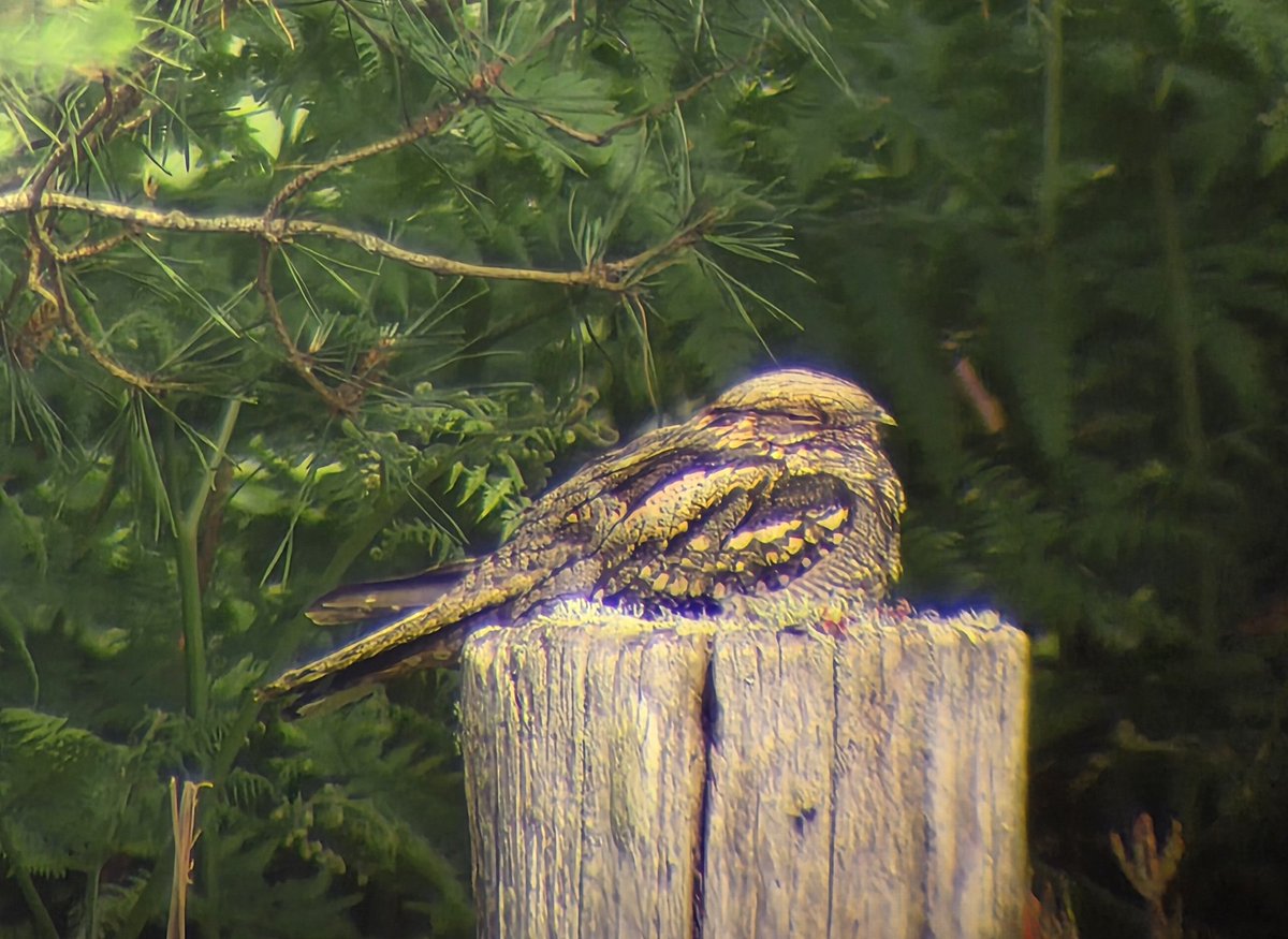 John Potten tweet media