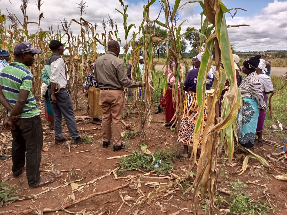 Our member, DAPP Zimbabwe’s Child Aid Bindura/Shamva project, since 2006, has worked with families to build resilience in health &amp; economy to improve the welfare of children. It supports preschools &amp; parents in taking the lead in maintaining playgrounds &amp; supporting teachers.