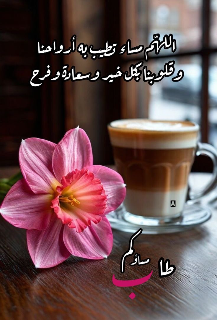 malak_h2020's tweet photo. اللهم اجعل هذا المساء نهاية لكل تعب، وبداية لكل فرج ننتظره برحمتك🌸

#مساء_الخير_والسعاده_للجميع 
#اسعـد_الله_مساءڪم https://t.co/OMuzxz3iSq