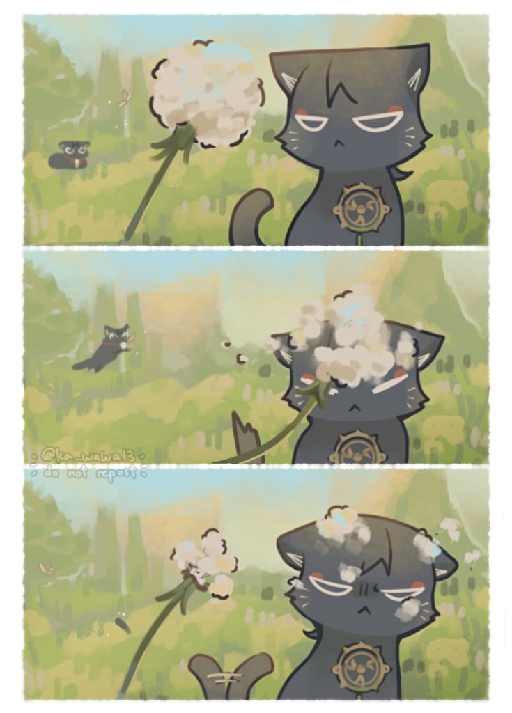 🌱🐾
#scarameow #kabumeow