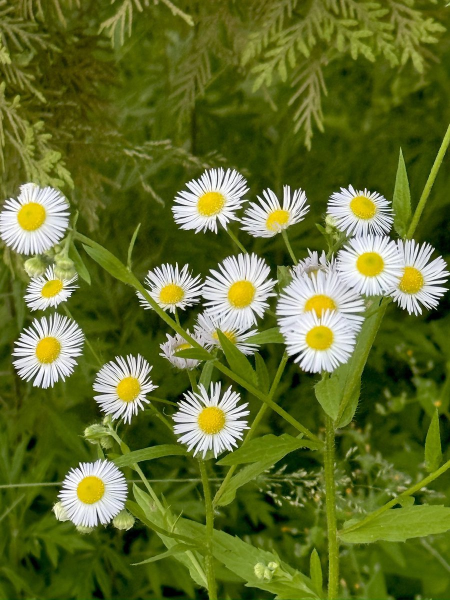 Сайхан амарцгаагаарай 👍