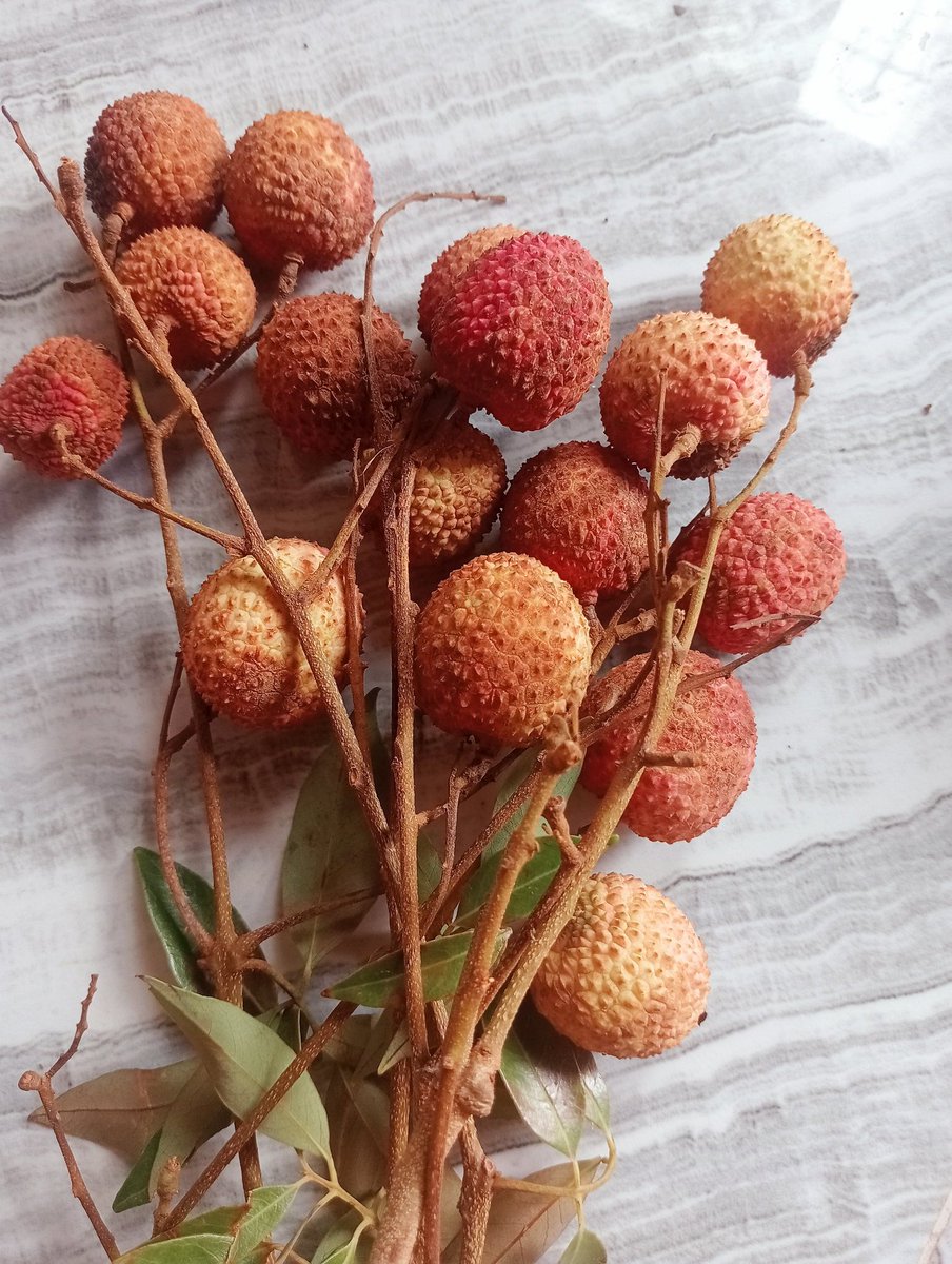 किसी की "जान" खाने से अच्छा हैं,
आप मेरे साथ "लिची " खाओ 😋