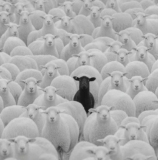 Ready to follow and follow back every one. Drop your handles