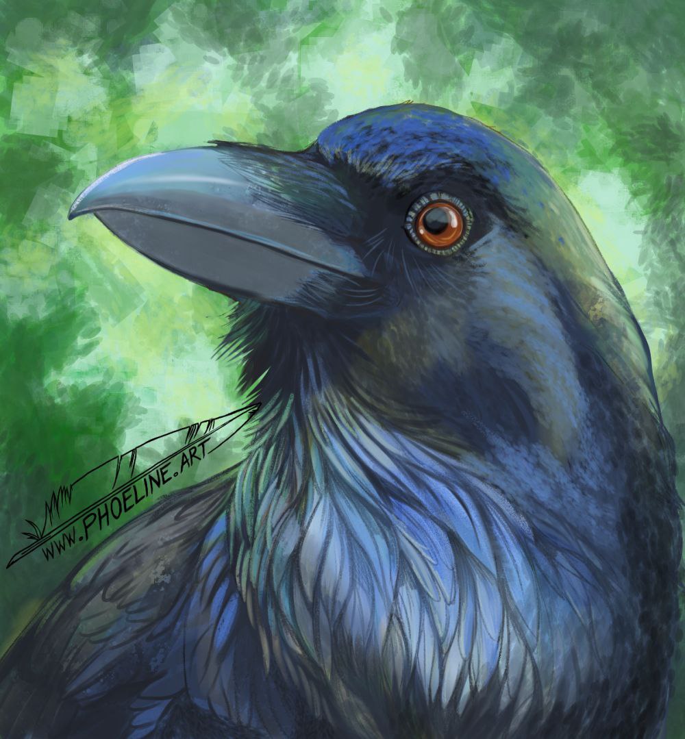 Raven art, caw caw caw. Illustration of a bird by a birdbrain.
Enjoy.